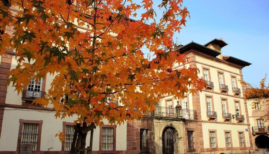 Pedroenea Apartamento Elizondo Exteriér fotografie