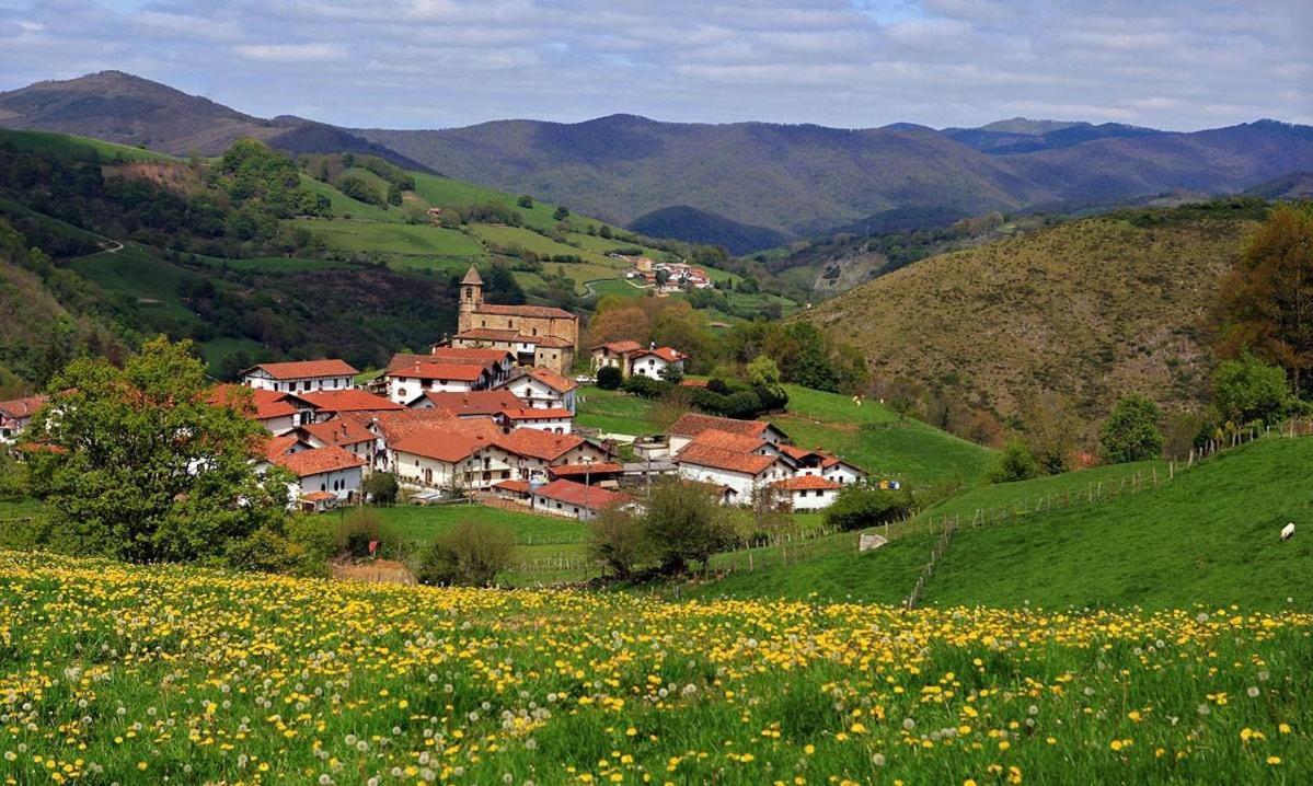 Pedroenea Apartamento Elizondo Exteriér fotografie
