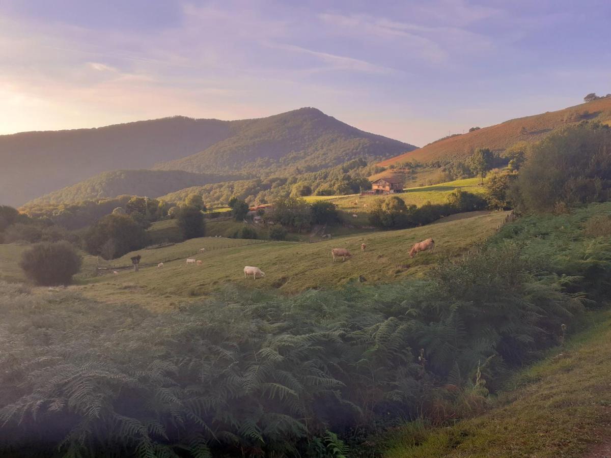 Pedroenea Apartamento Elizondo Exteriér fotografie